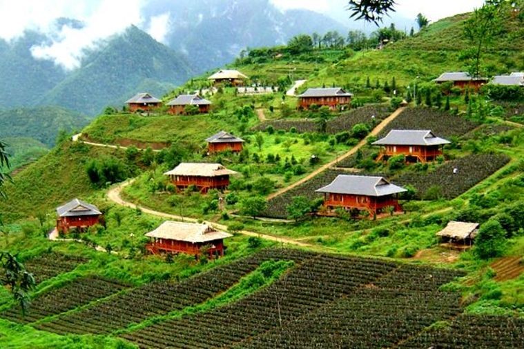 Bản Tả Phìn - Sapa